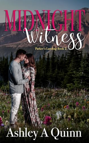 Midnight Witness book cover