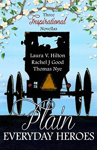 Plain Everyday Heroes book cover
