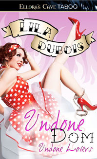 Undone Lovers book cover 2