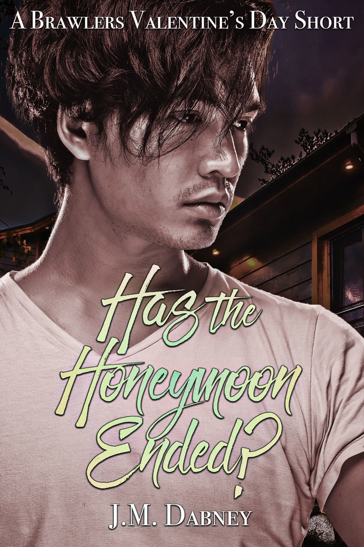 Has the Honeymoon Ended? book cover