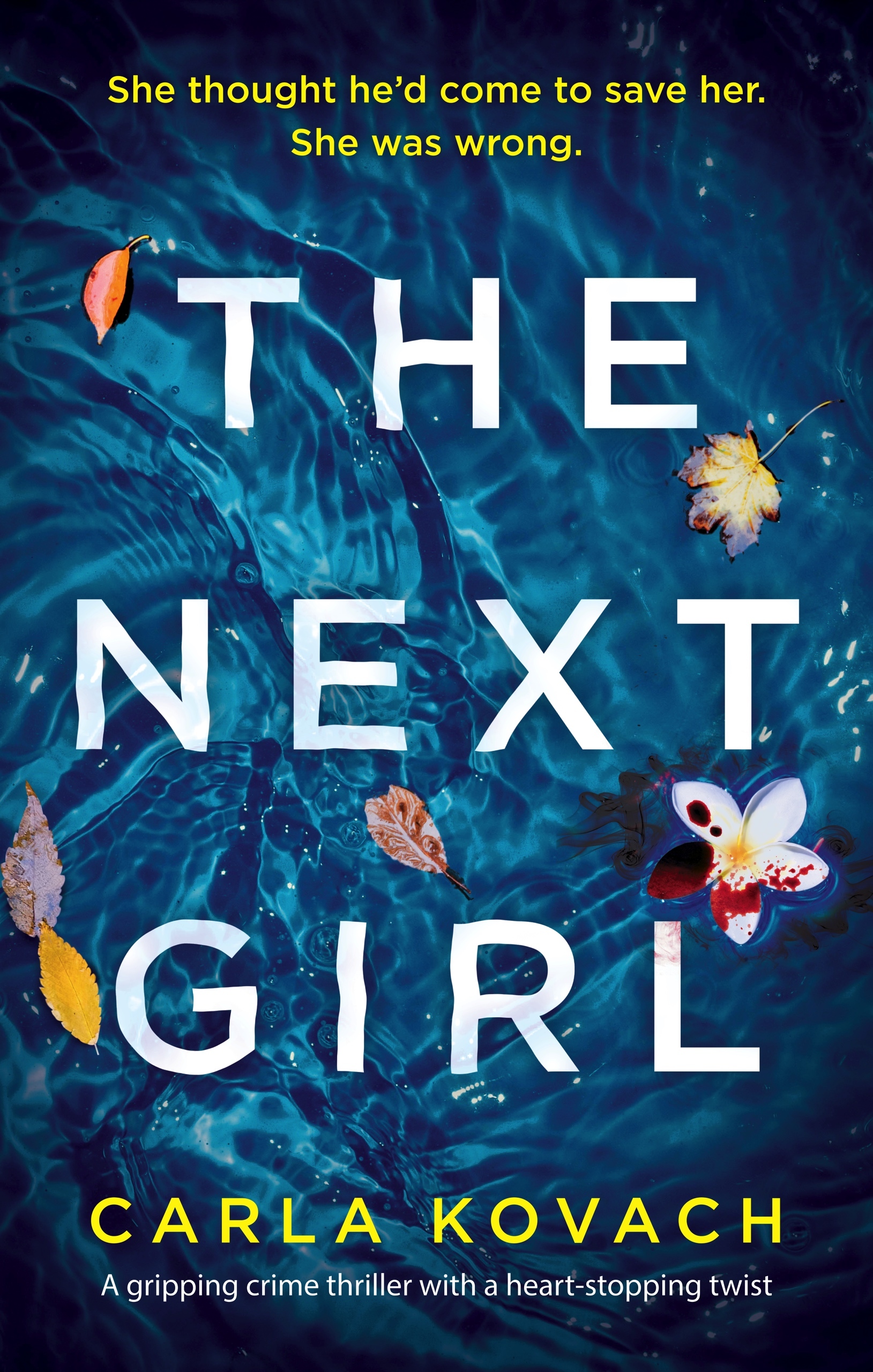 Detective Gina Harte book cover 1