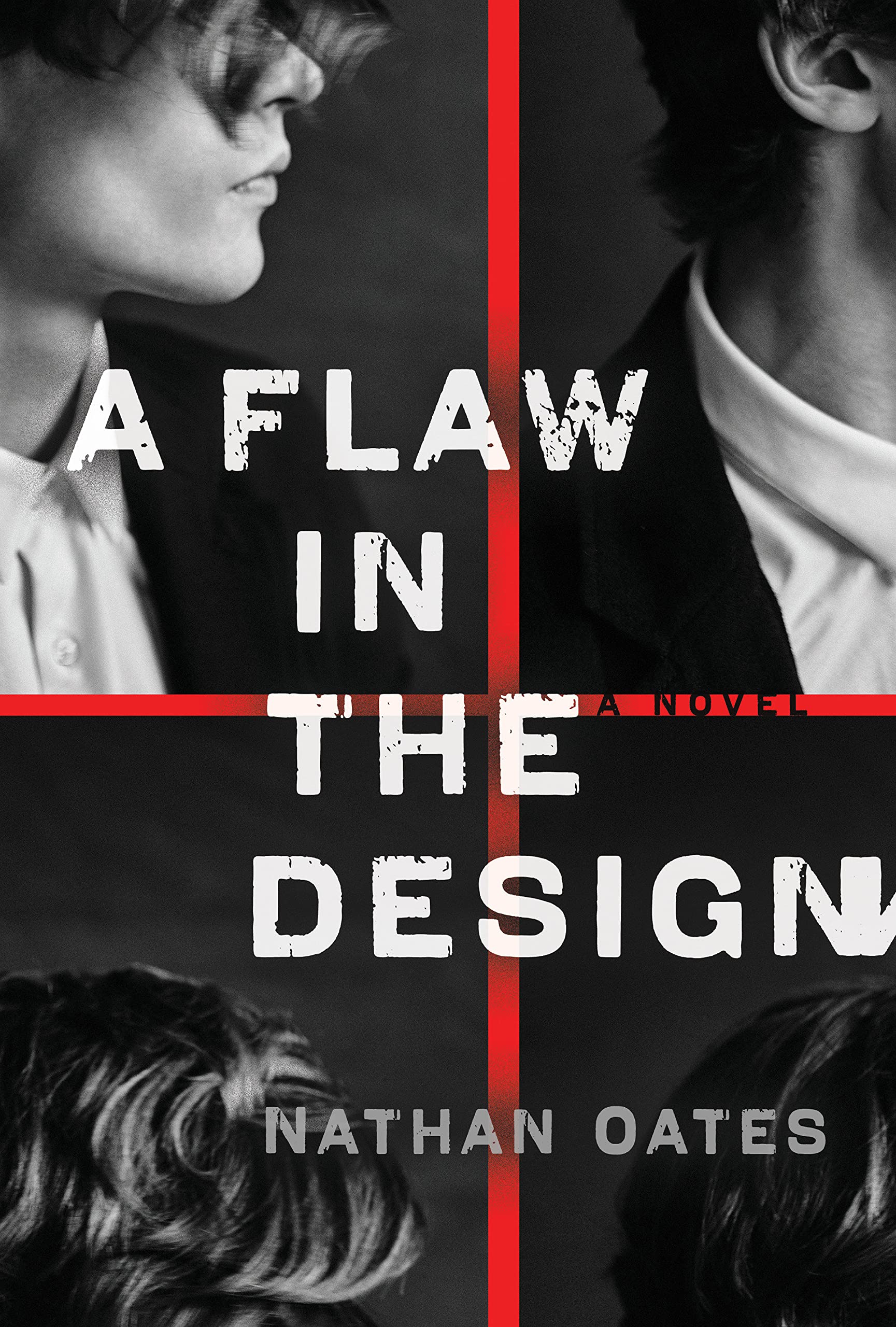 A Flaw in the Design book cover