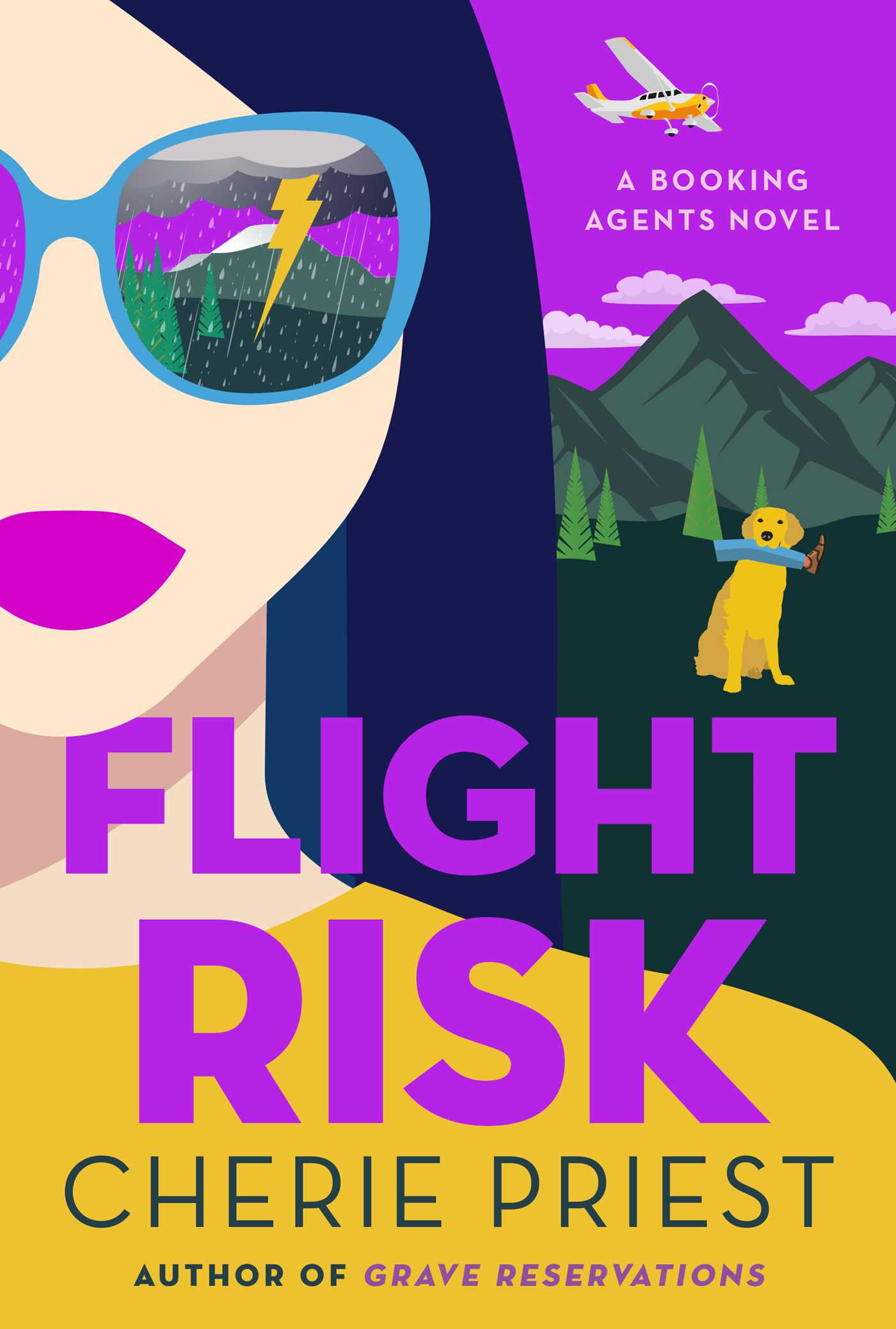 The Booking Agents book cover 2