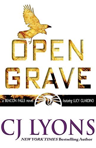 Beacon Falls book cover 3
