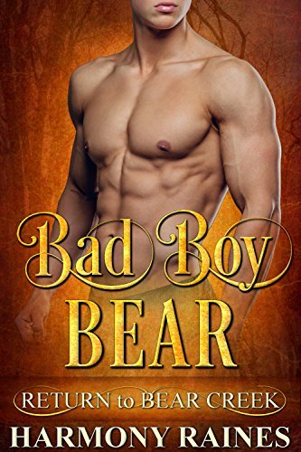 Bad Boy Bear book cover