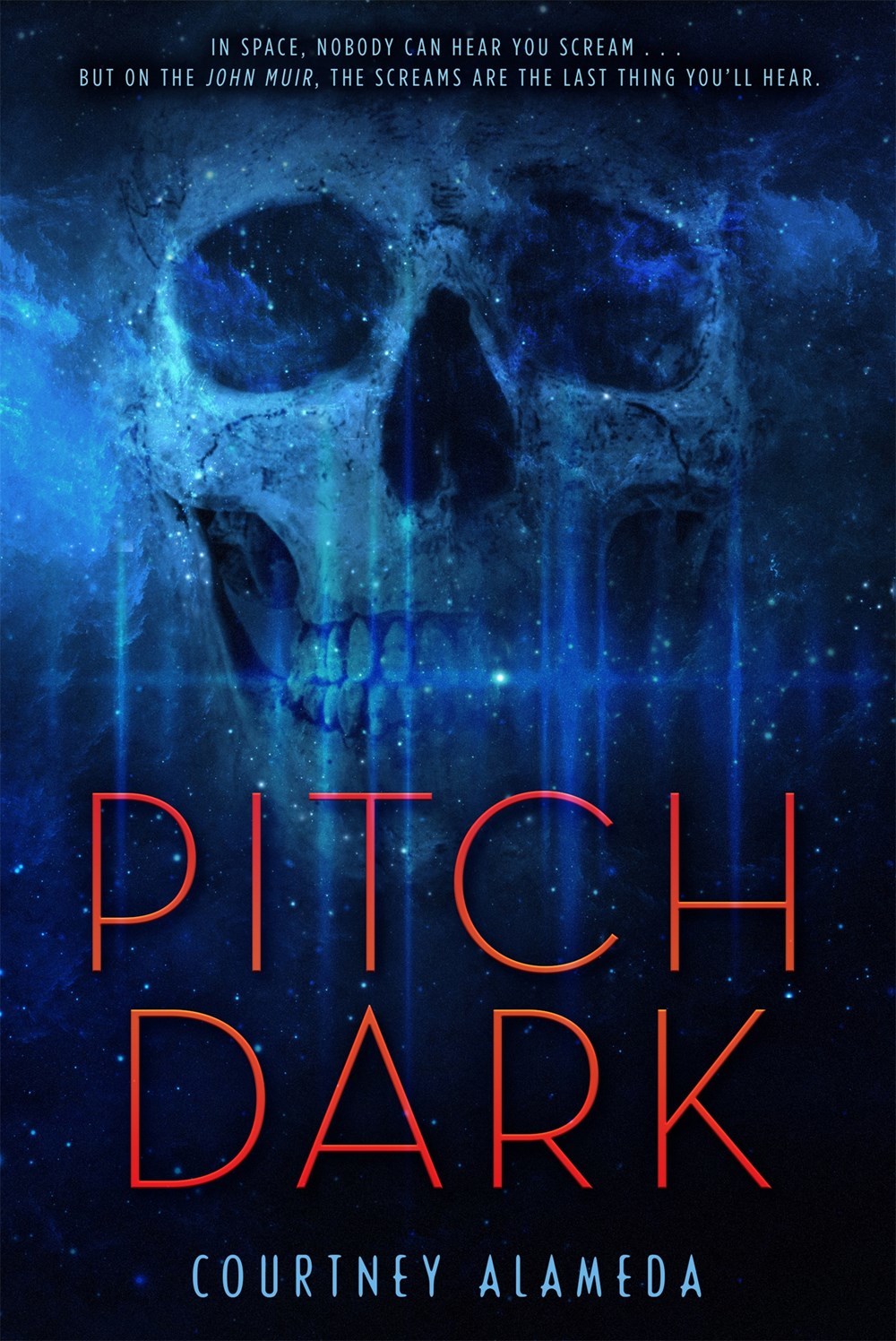 Pitch Dark book cover