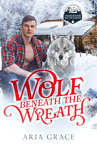 Double-Booked for the Holidays book cover 2
