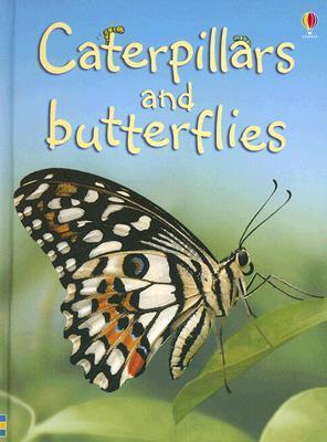 Caterpillars and Butterflies book cover