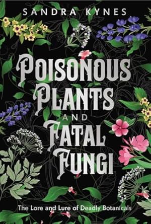 Deadly Fascination book cover