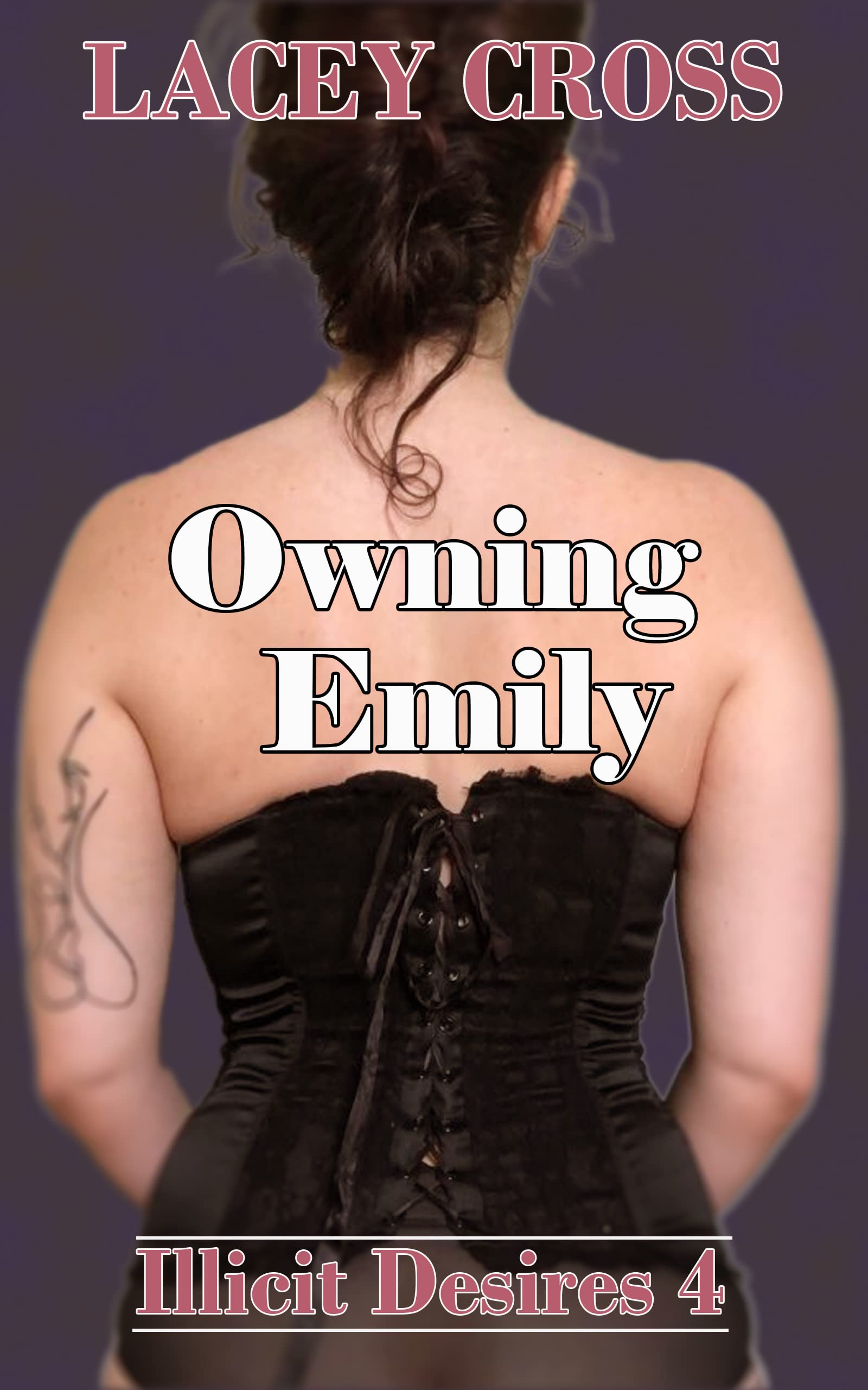 Owning Emily book cover