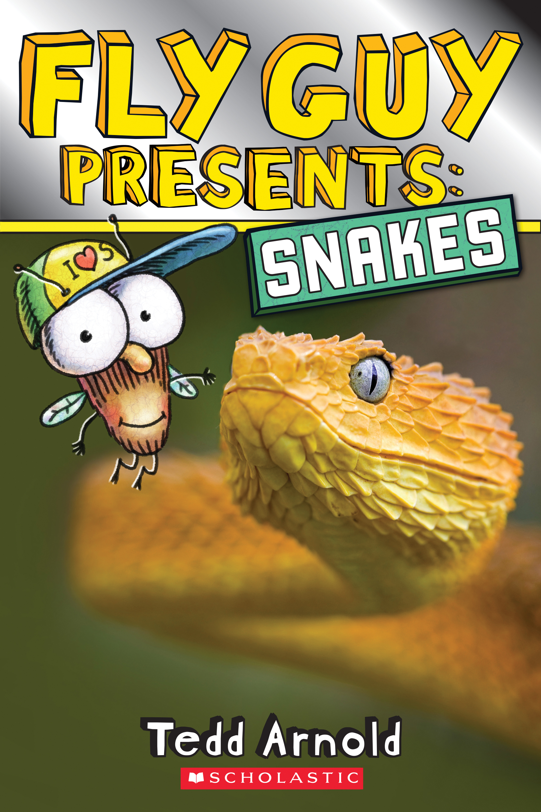 Fly Guy Presents book cover