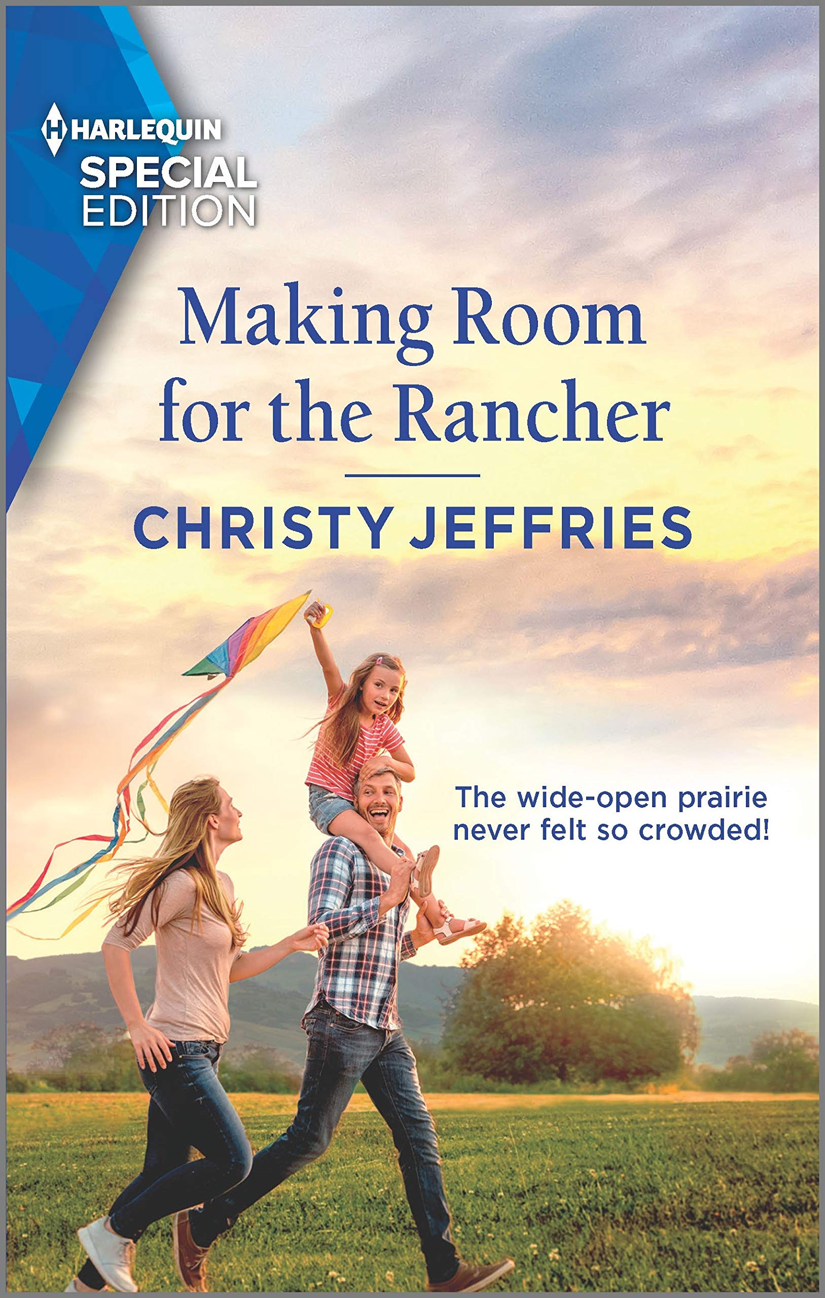 Twin Kings Ranch book cover 2