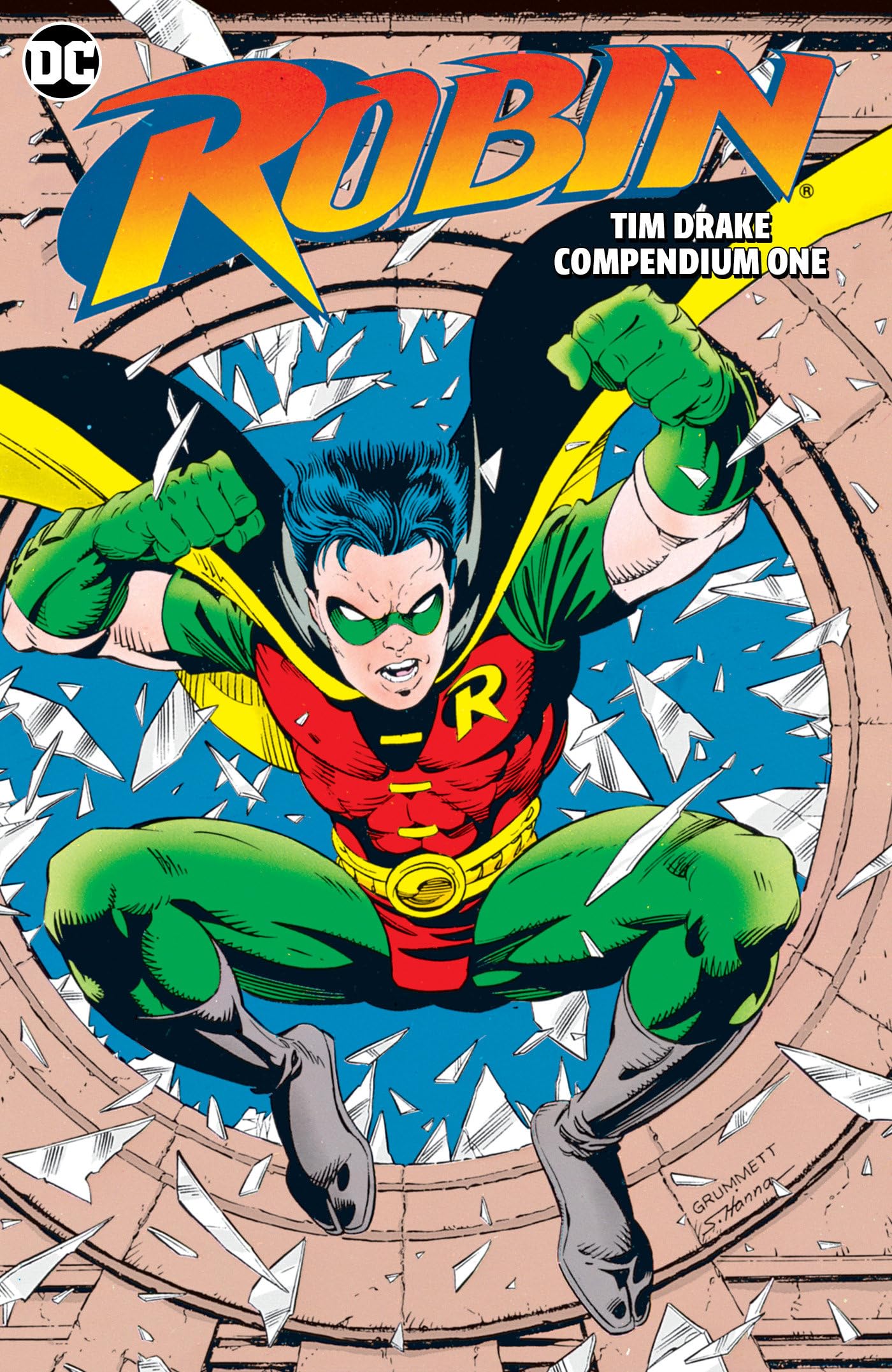 Robin book cover