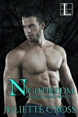 Nightwing book cover 3