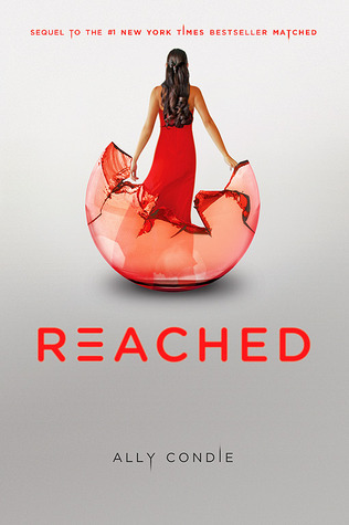 Matched book cover 3