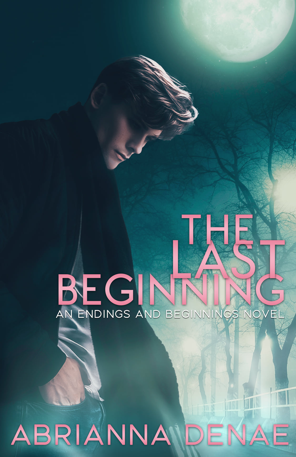 Endings and Beginnings book cover 1