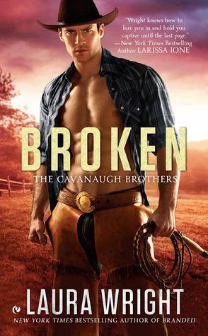 The Cavanaugh Brothers book cover 2