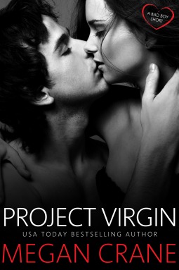 Project Virgin book cover