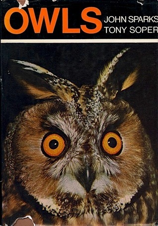 Owls book cover