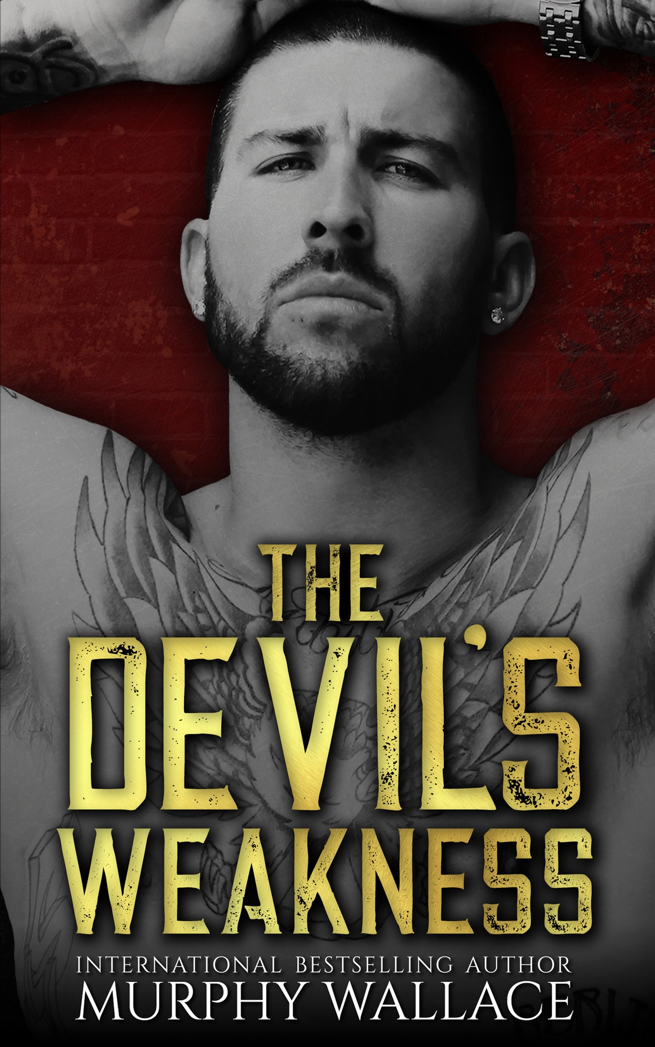 Blade and Sasha book cover 1
