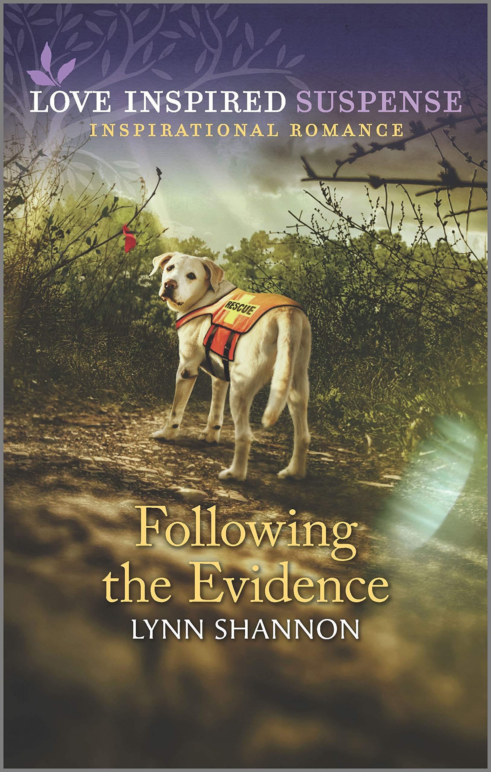 Following the Evidence book cover