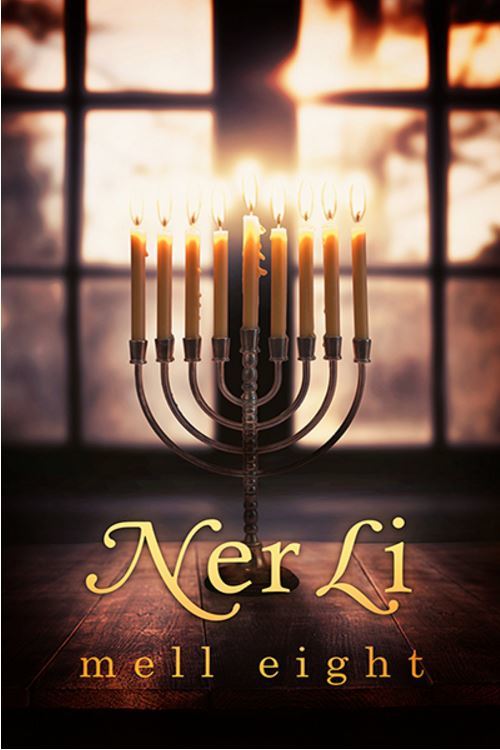 Ner Li book cover