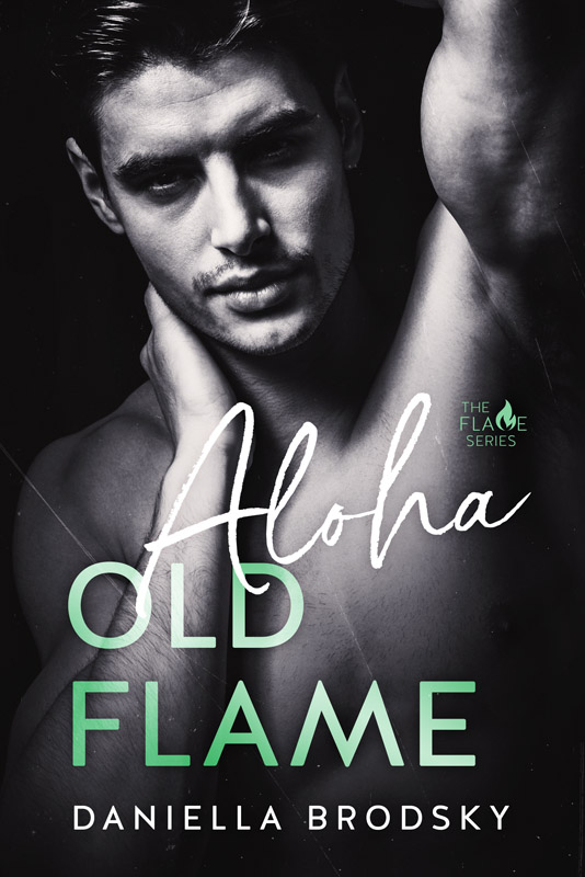Hot for the Ex book cover