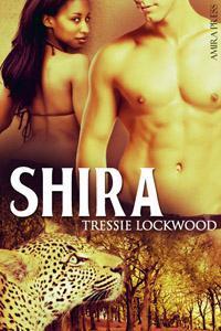 Twin Leopards book cover 2