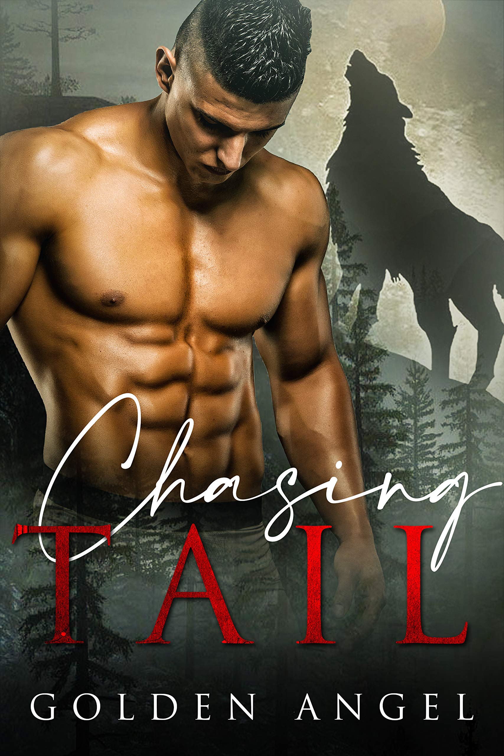 Chasing Tail book cover 1