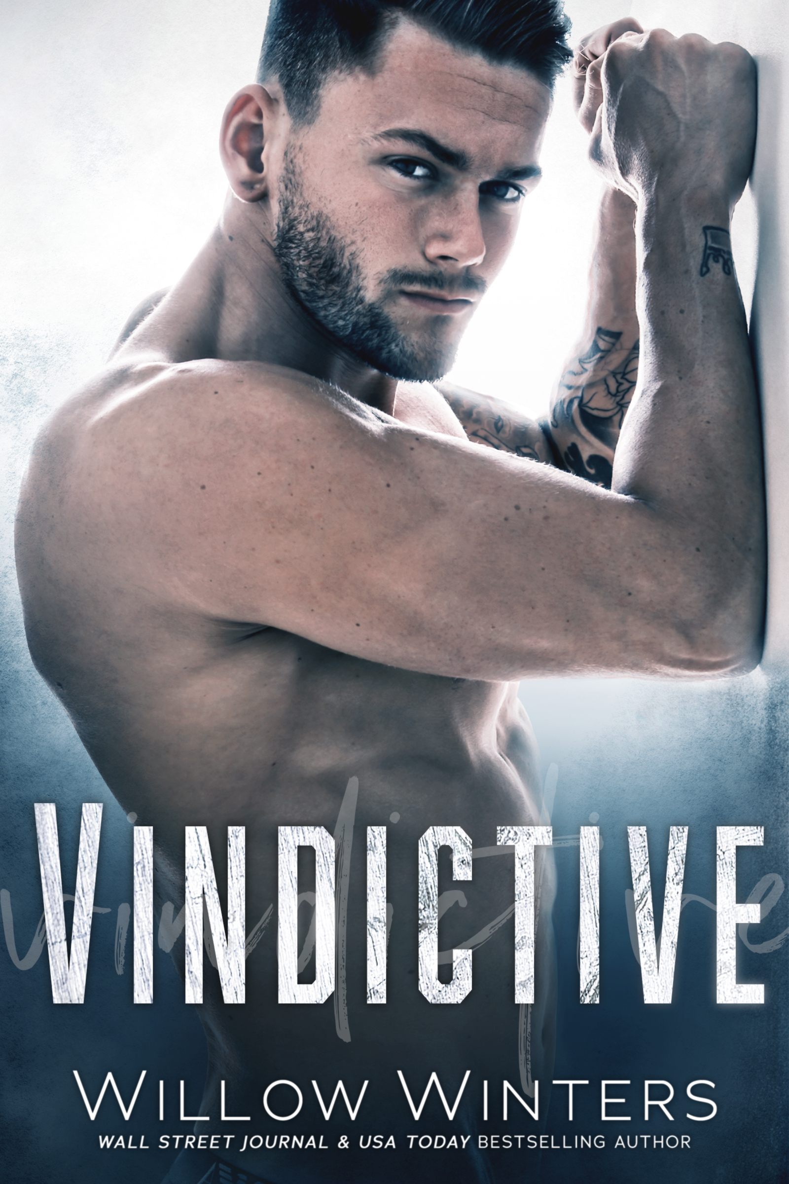 Vindictive book cover