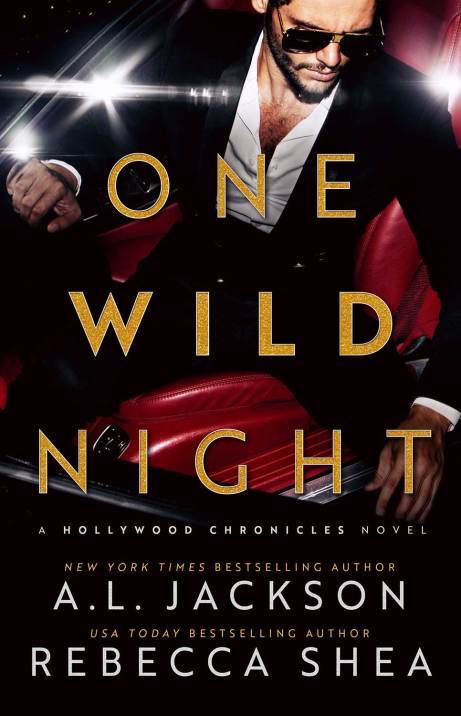 One Wild Night book cover
