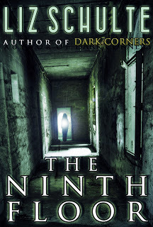 The Ninth Floor book cover