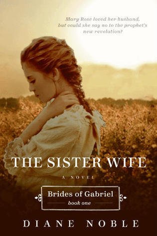 The Sister Wife book cover