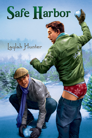 Safe Harbor book cover