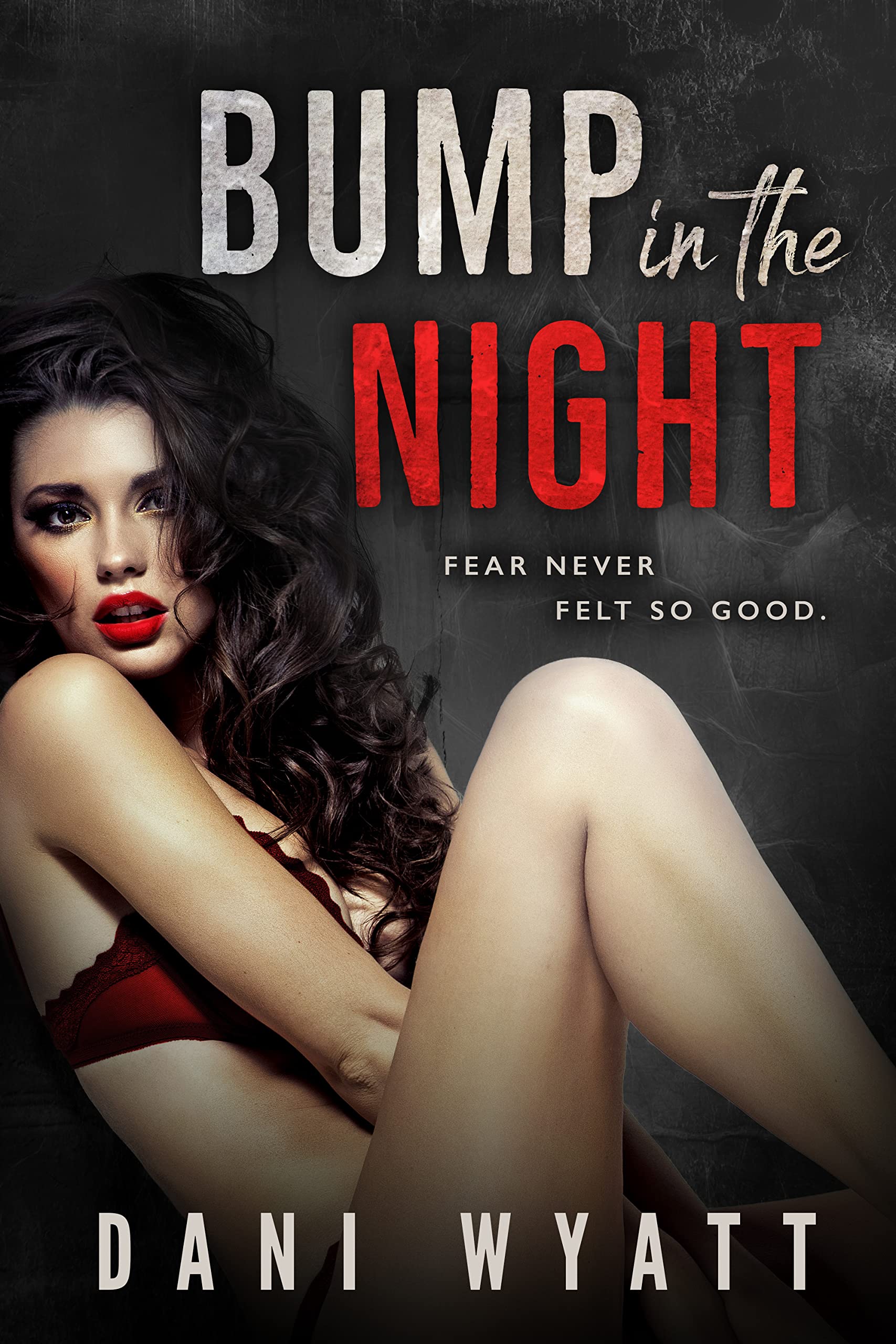 Bump in the Night book cover