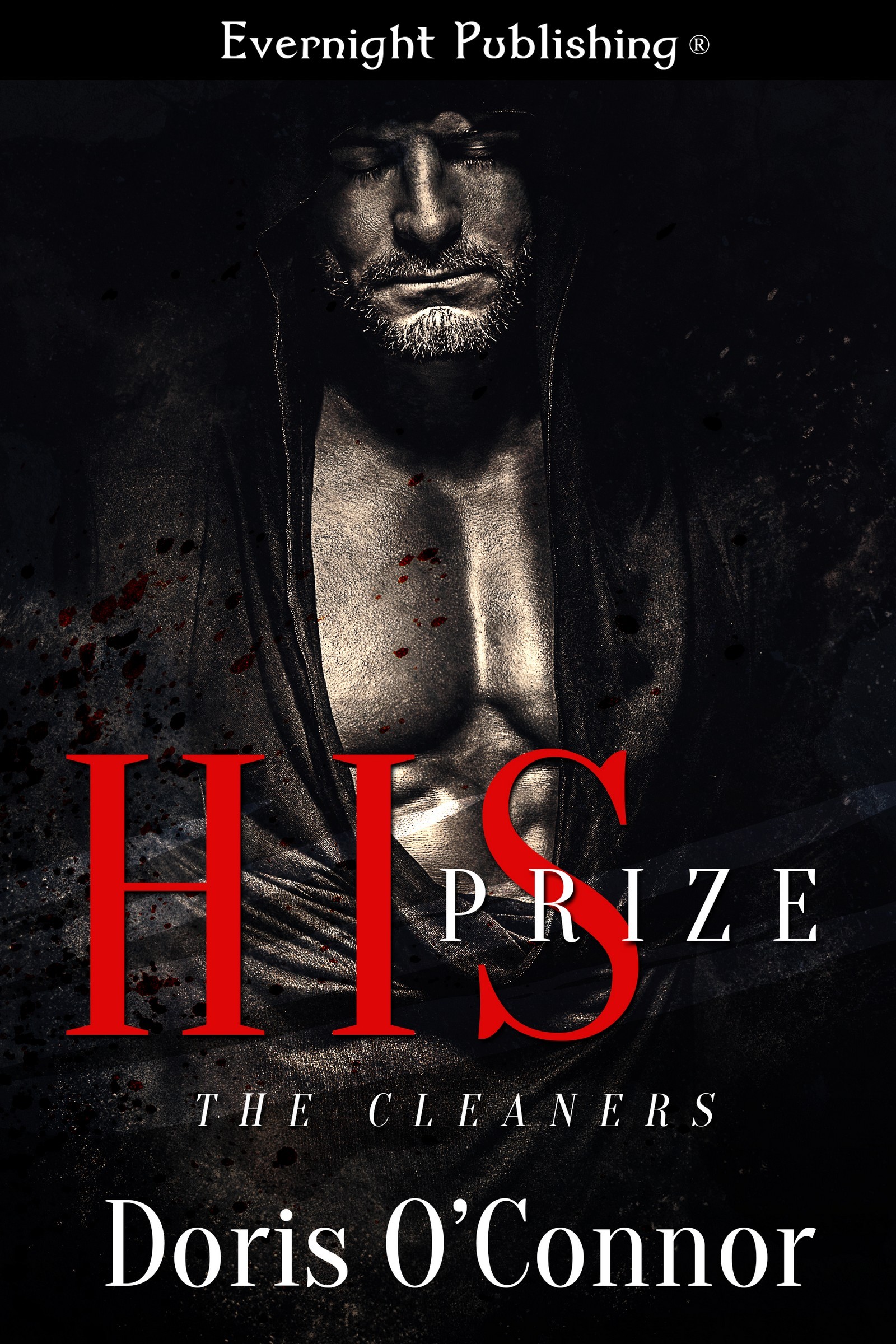 The Cleaners book cover 1