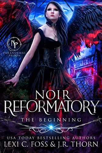 Noir Reformatory book cover 1