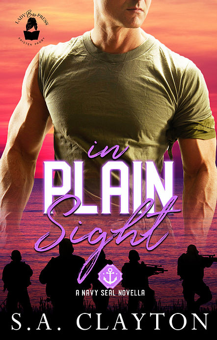 In Plain Sight book cover