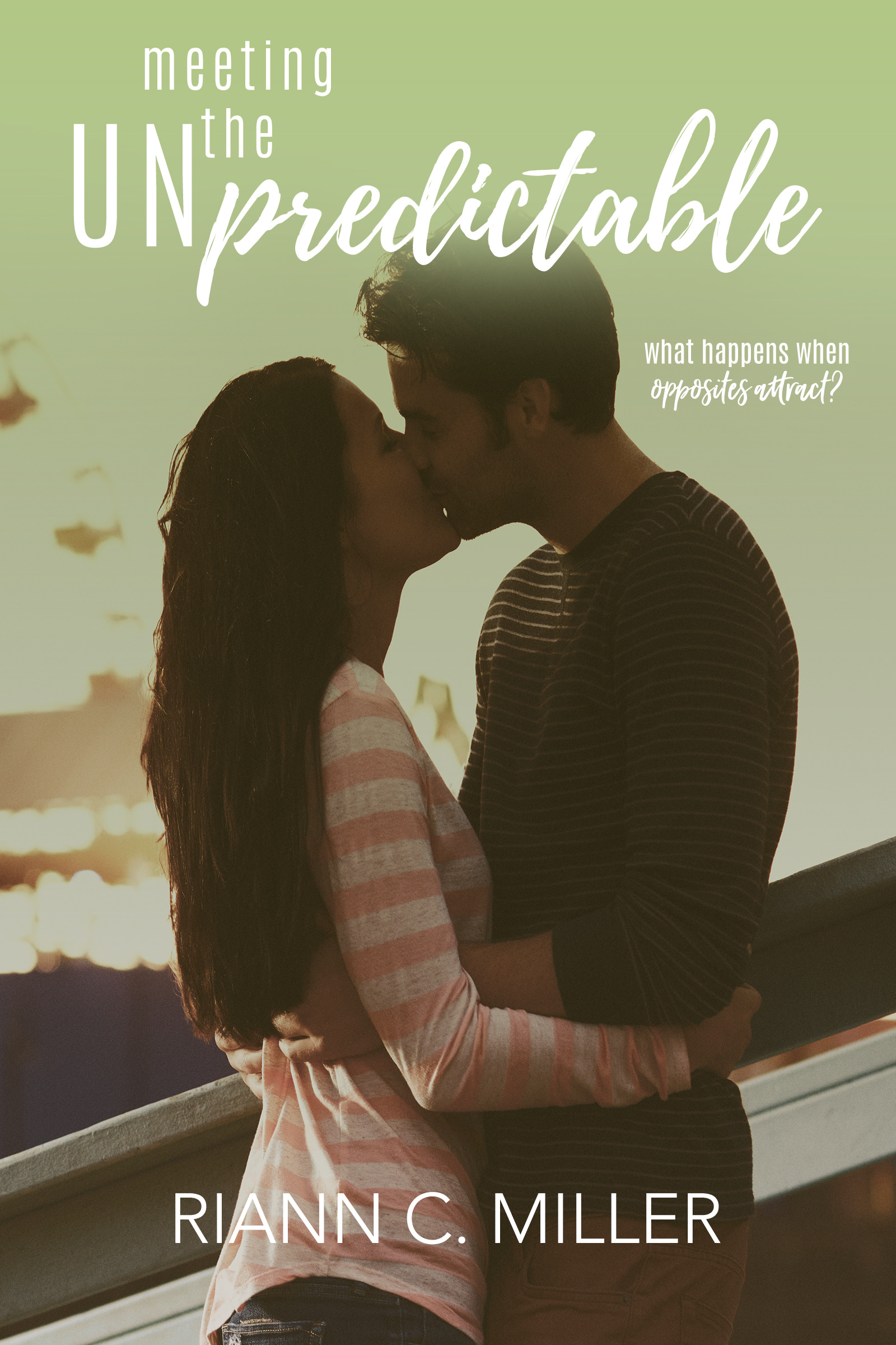 Meeting The Unpredictable book cover