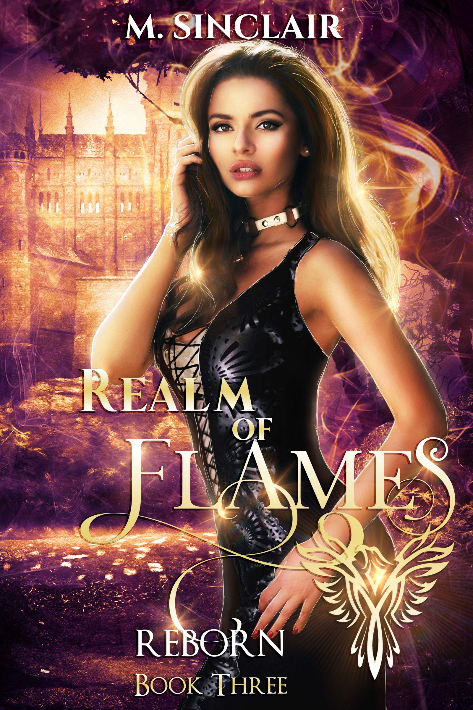 Reborn book cover 3
