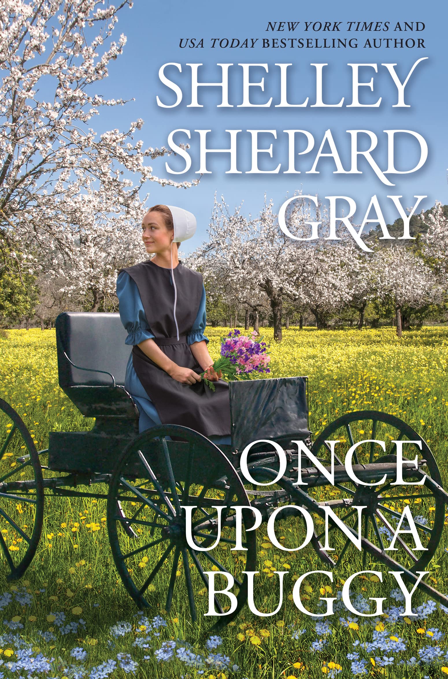 Once Upon a Buggy book cover