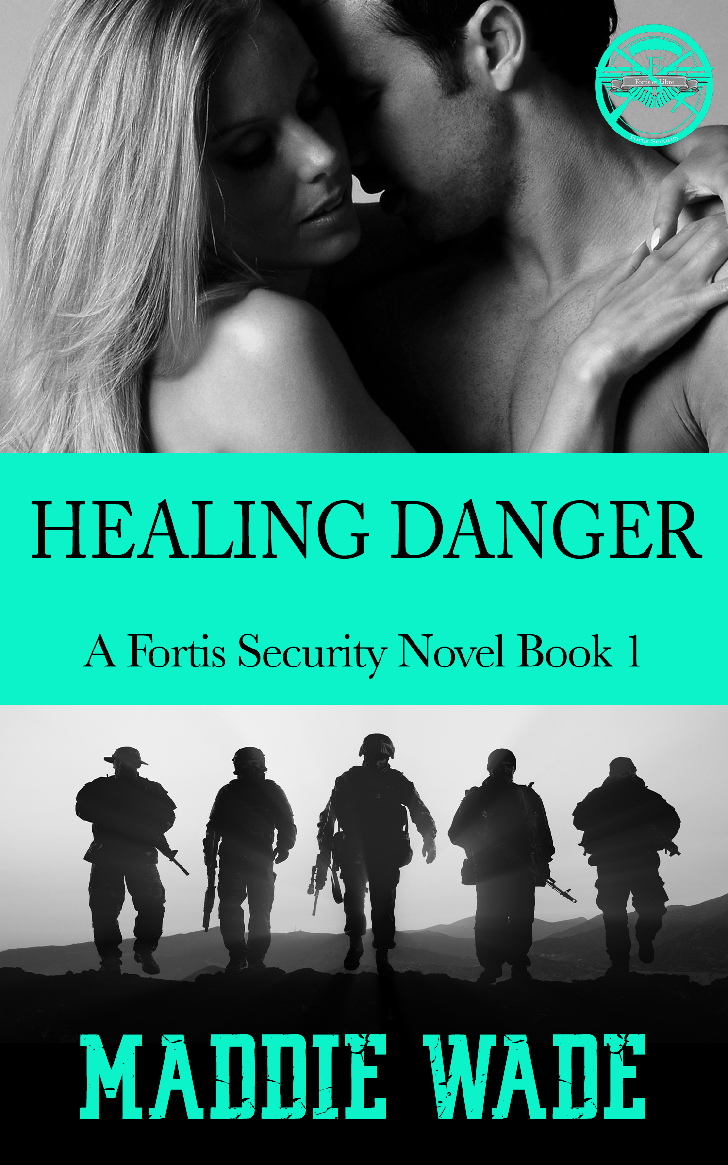 Fortis Security book cover 1