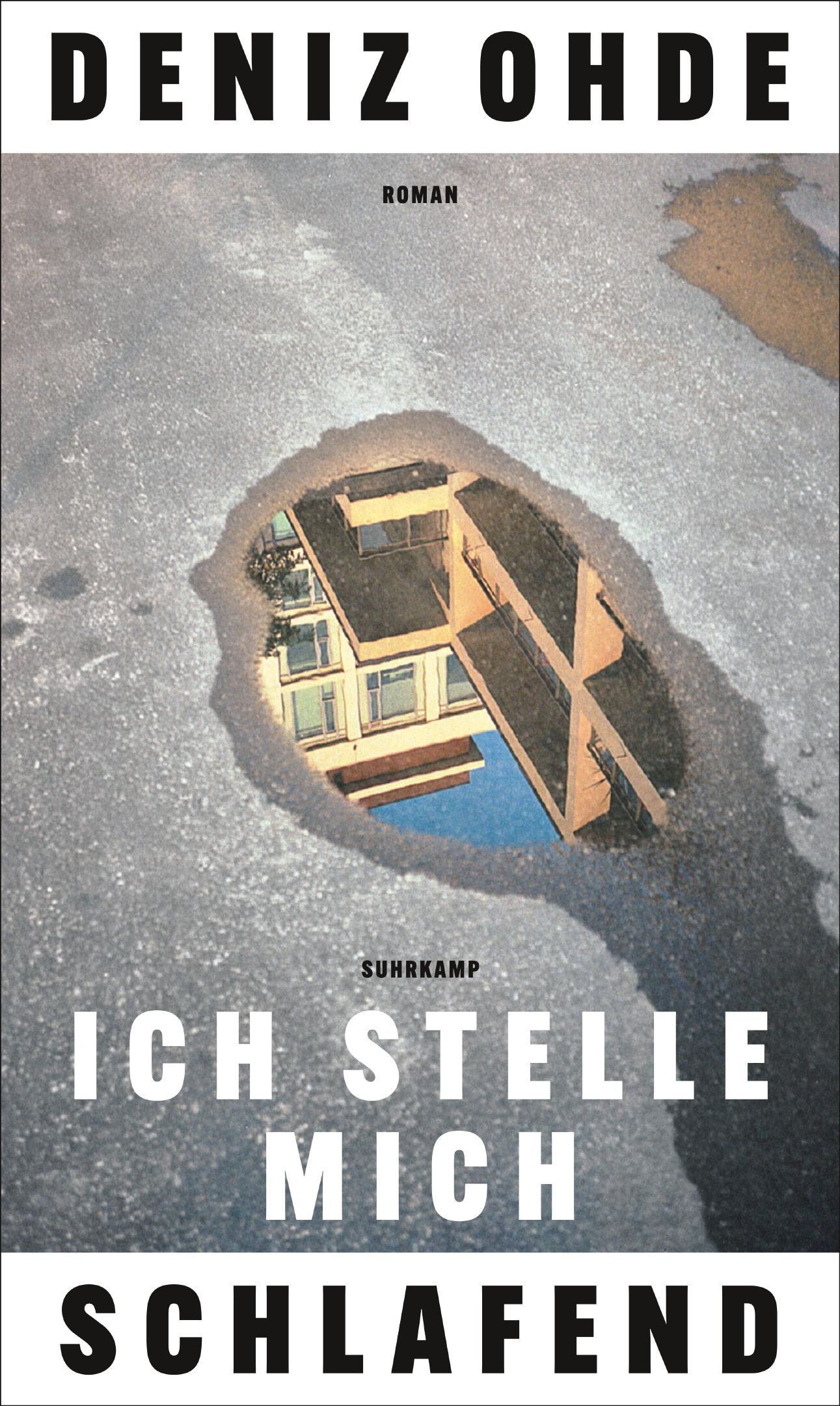 Ich stelle mich schlafend book cover