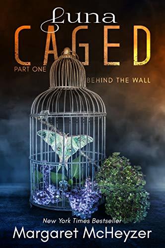 Behind the Wall book cover 1