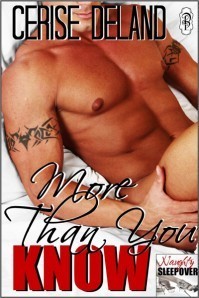 Naughty Sleepover book cover 2
