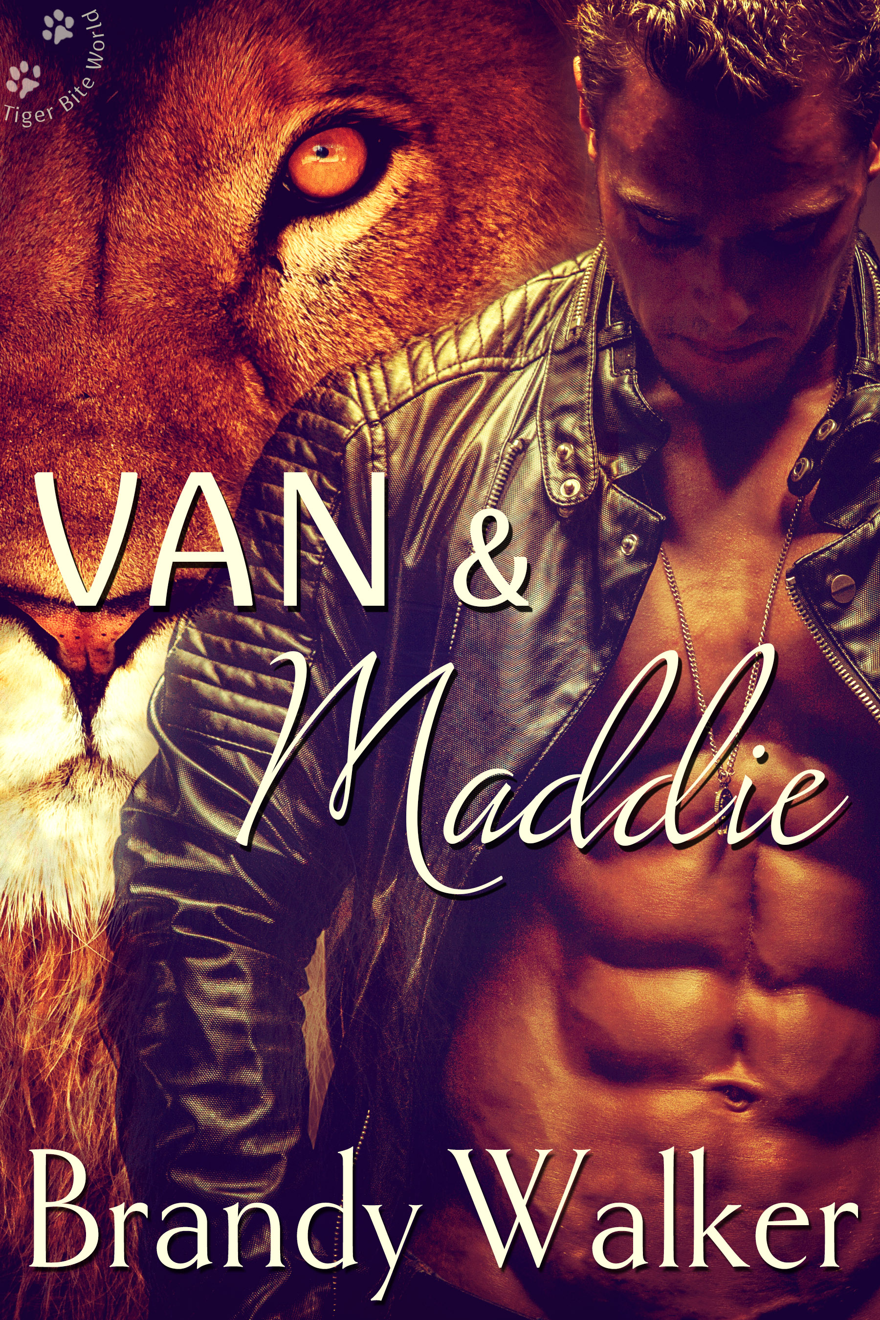 Van & Maddie book cover
