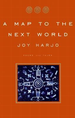 A Map to the Next World book cover