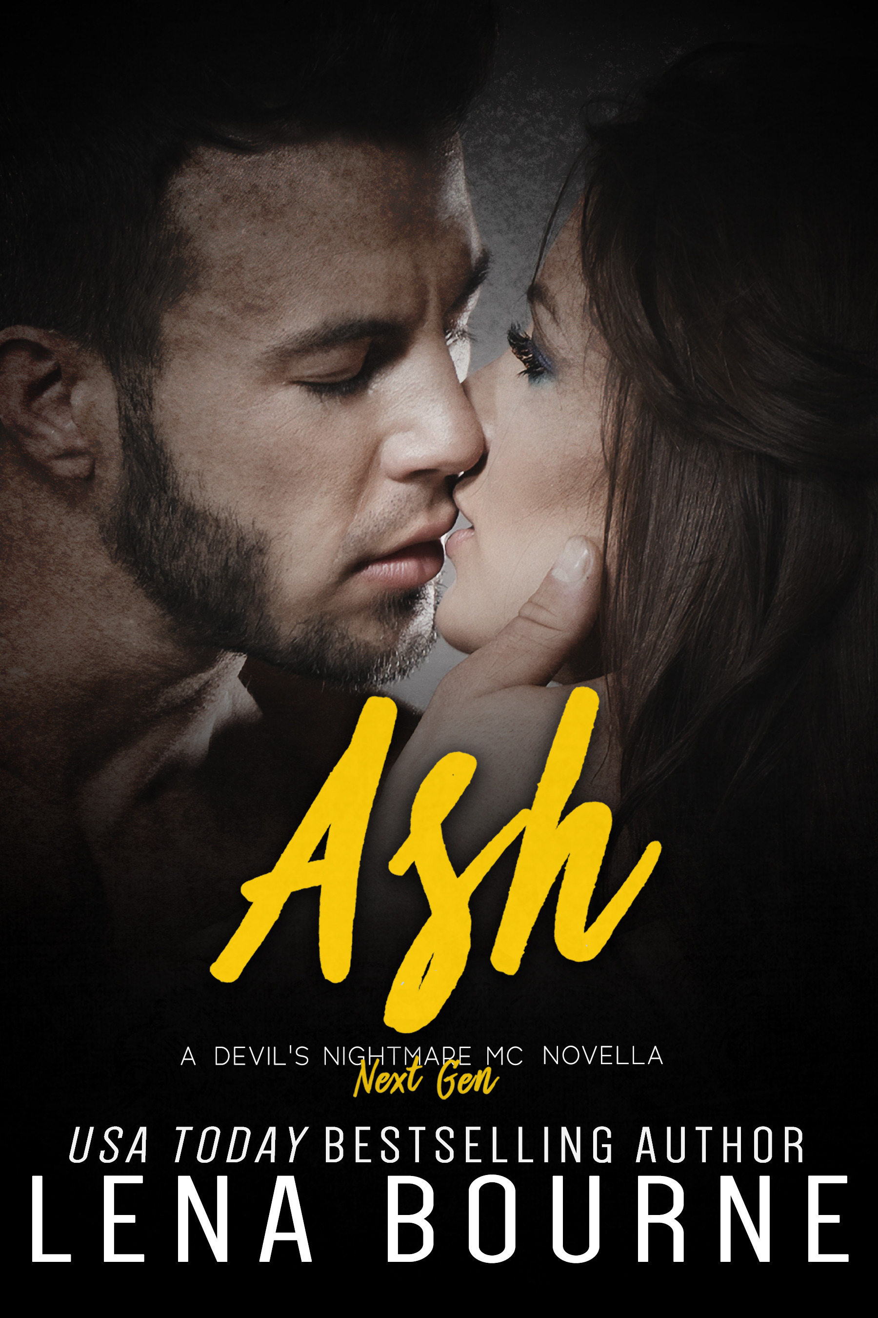 Ash book cover