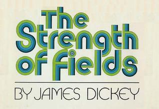 The Strength of Fields book cover