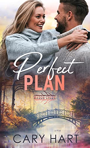 Perfect Plan book cover